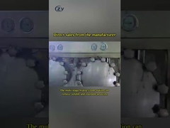 সিমেন্স ক্যাসাভা স্টার্চ প্রসেসিং মেশিন হাইড্রো সাইক্লোন এসএস 304 উপাদান