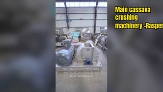 ফুড গ্রেড কাসাভা রাস্পার